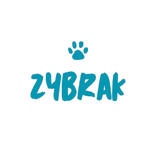 ZYBRAK